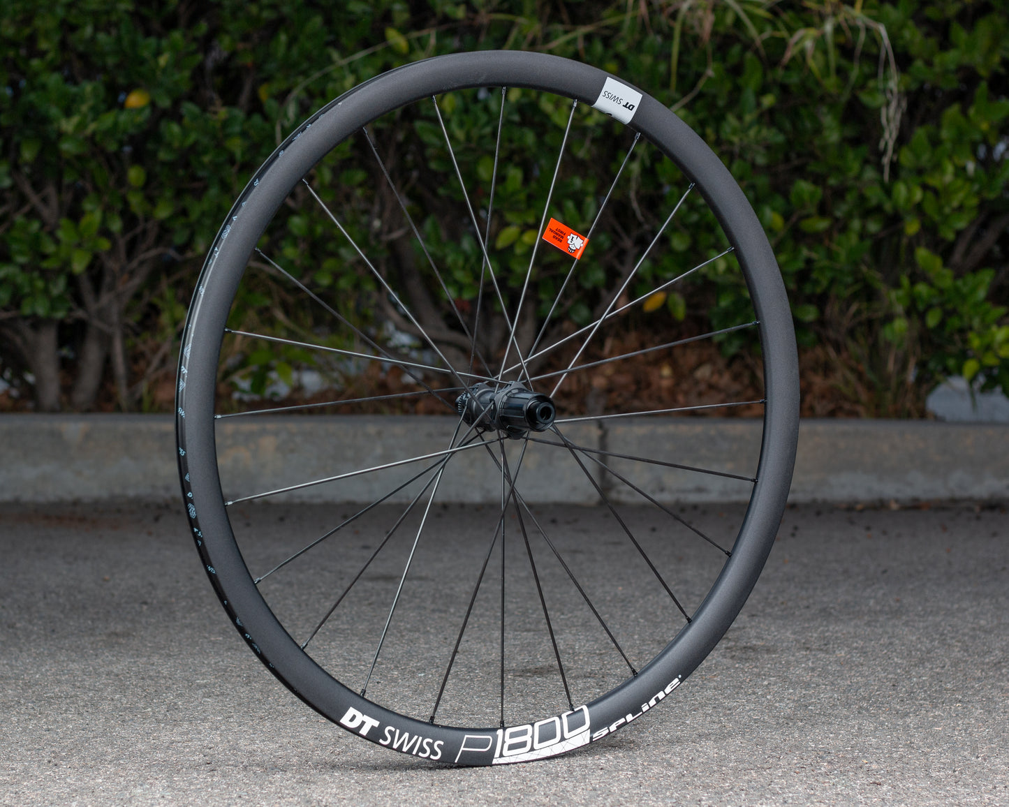 DT Swiss P1800 Spline Disc Brake alloy rear wheel w/opkge