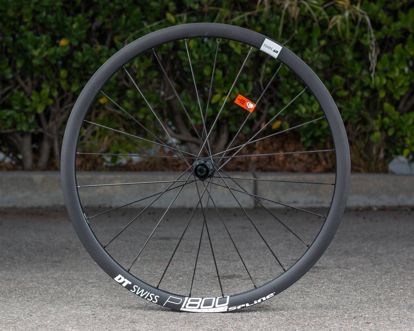 DT Swiss P1800 Spline Disc Brake alloy rear wheel w/opkge