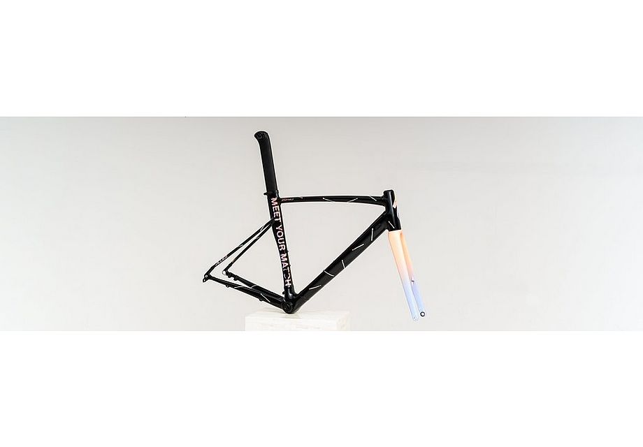 Specialized Allez Sprint Disc Frameset