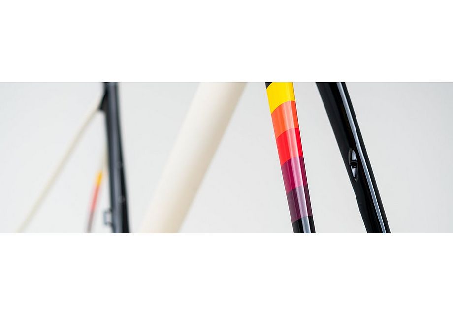 Specialized Allez Sprint Disc Frameset