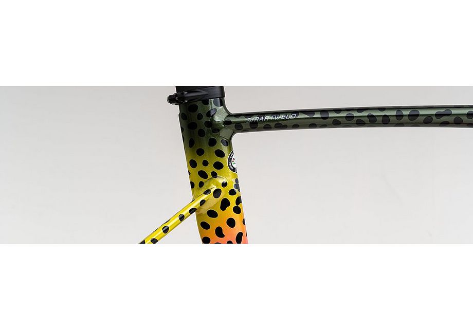 Specialized Allez Sprint Disc Frameset