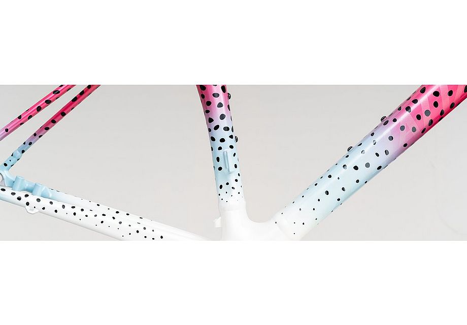 Specialized Allez Sprint Disc Frameset