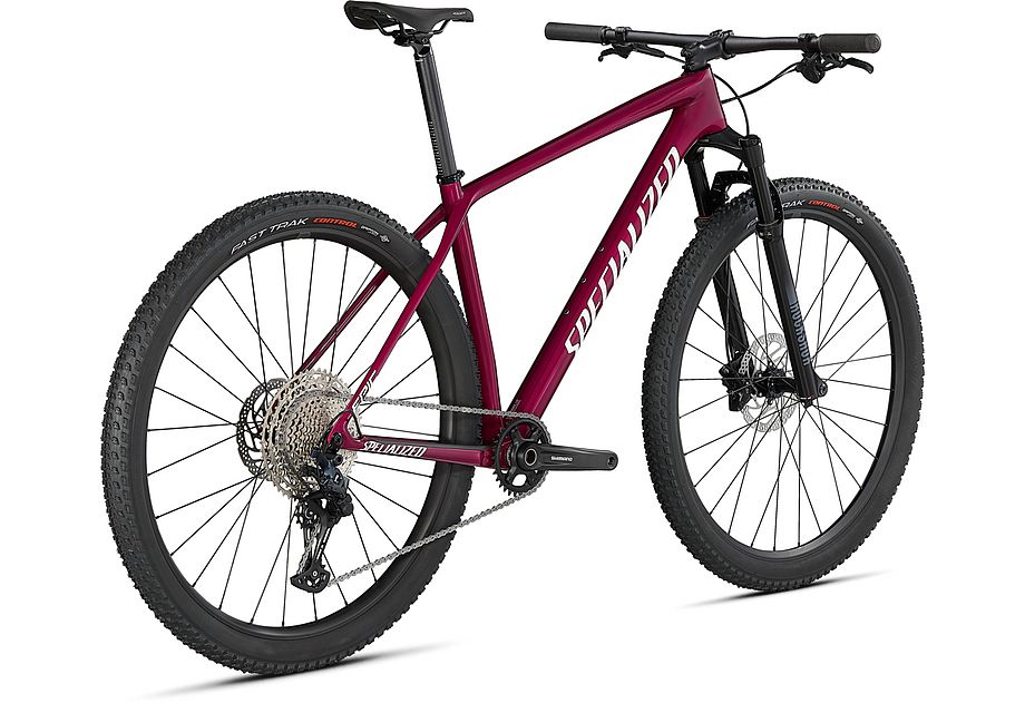 Specialized Epic Hardtail