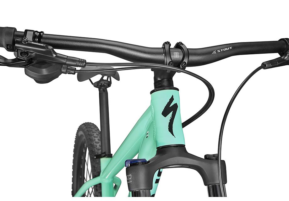 Specialized Rockhopper 29