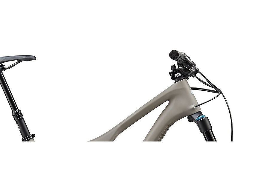 Specialized Stumpjumper Ltd Carbon Evo 29 Frame