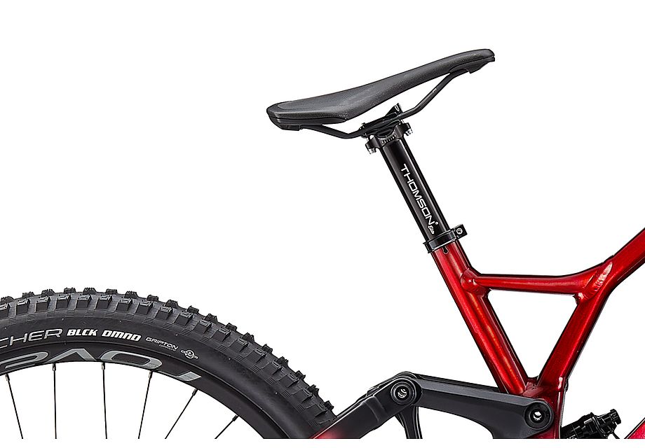 Specialized Demo Race