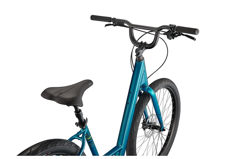 Specialized Roll 3.0 Low Entry