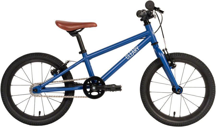Cleary Bikes Hedgehog