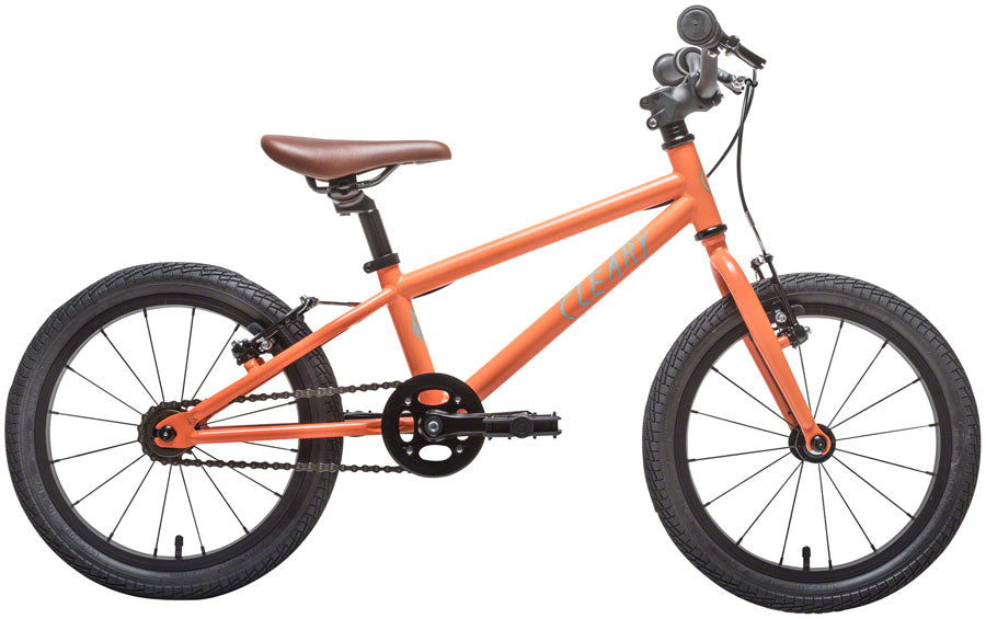 Cleary Bikes Hedgehog