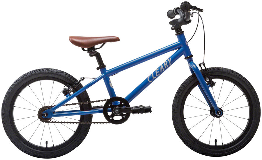 Cleary Bikes Hedgehog