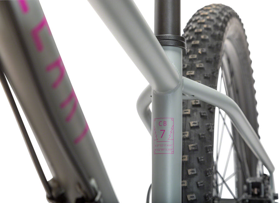 Cleary Bikes Scout