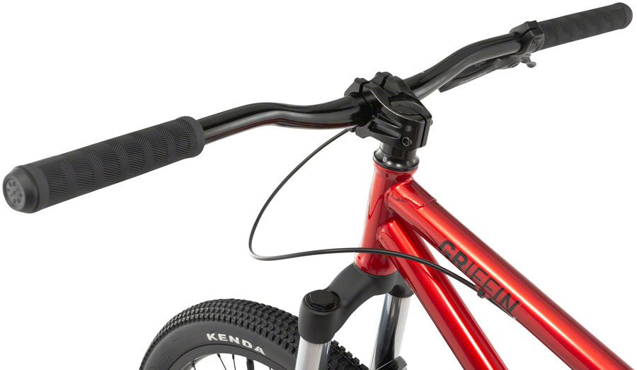 Radio Griffin Dirt Jump Bike