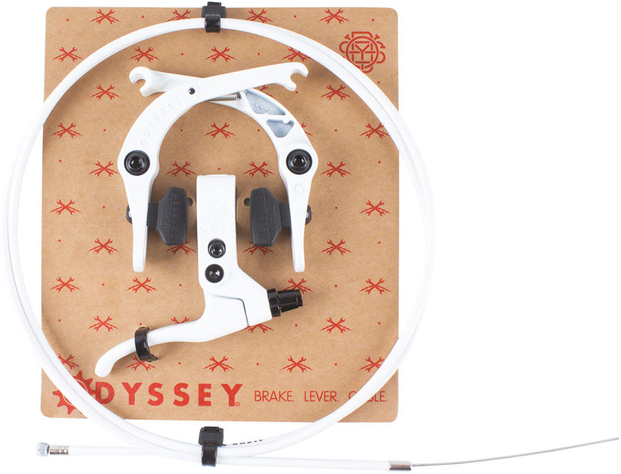 Odyssey Springfield