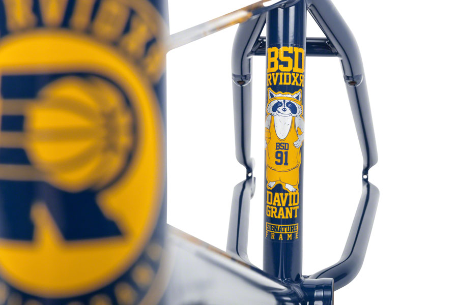BSD Raider V3