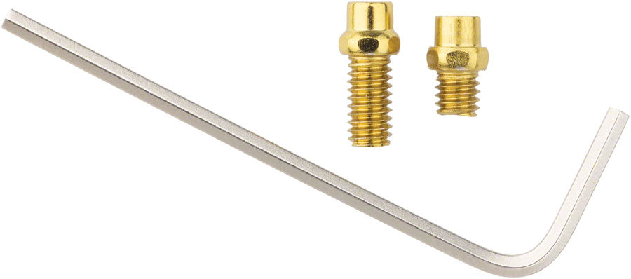 DMR Flip Pin Set