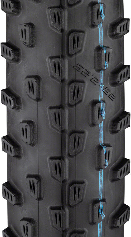 Schwalbe Racing Ray Tire