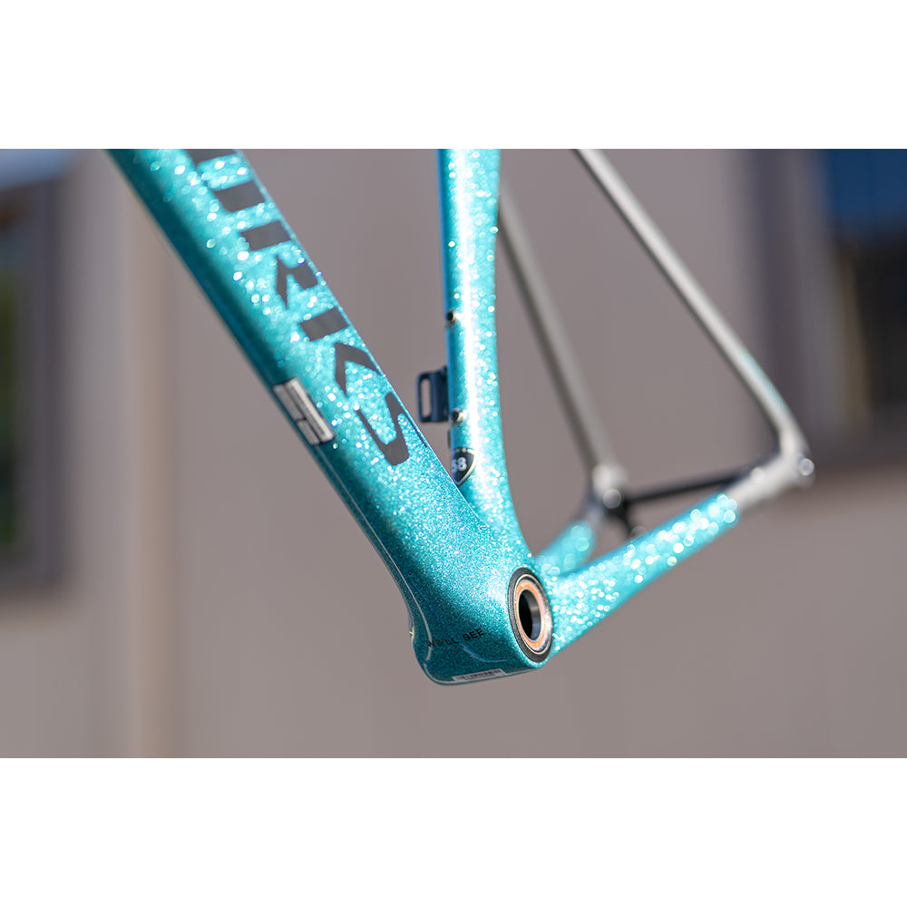 2019 Specialized S-works Venge Disc Frameset Sagan Collection LTD