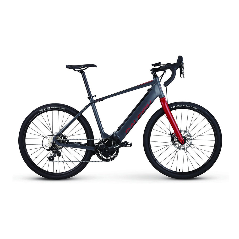 2018 Raleigh Tamland IE Gray