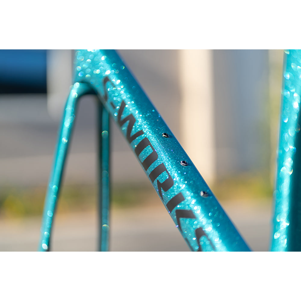 2019 Specialized S-works Venge Disc Frameset Sagan Collection LTD
