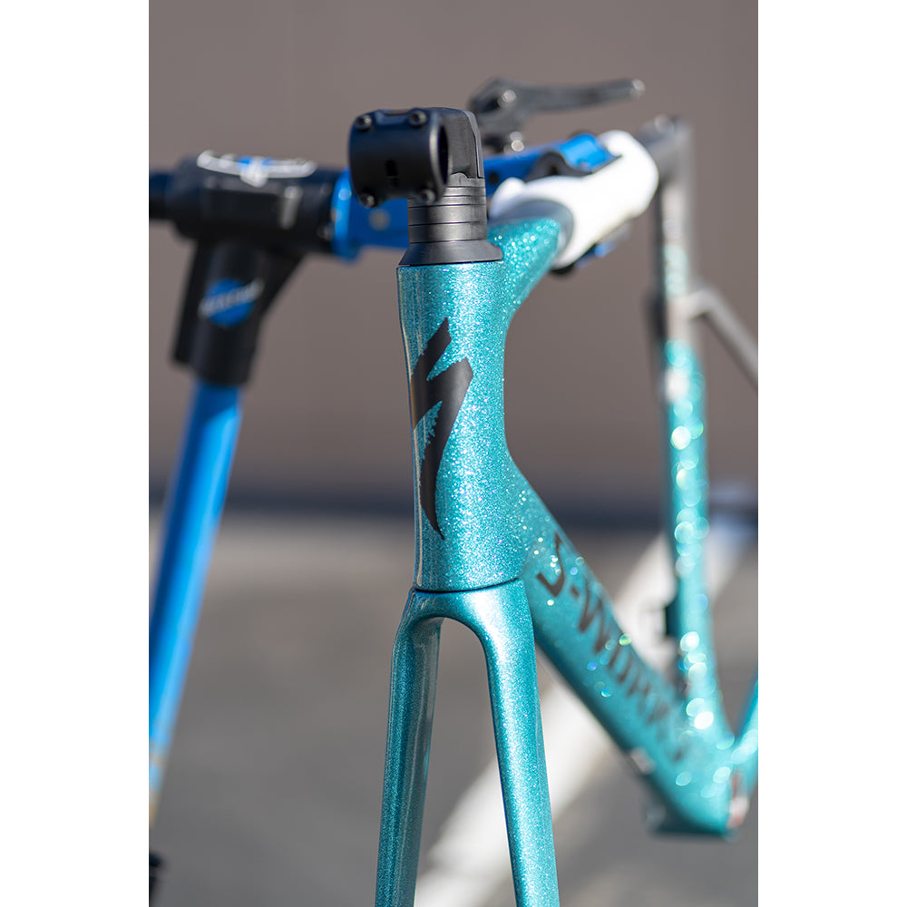 2019 Specialized S-works Venge Disc Frameset Sagan Collection LTD