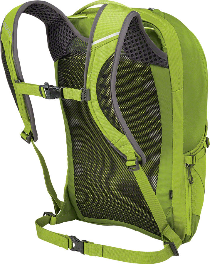Osprey Momentum