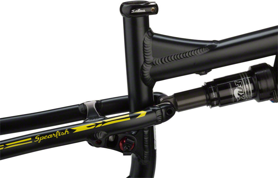 Salsa Spearfish