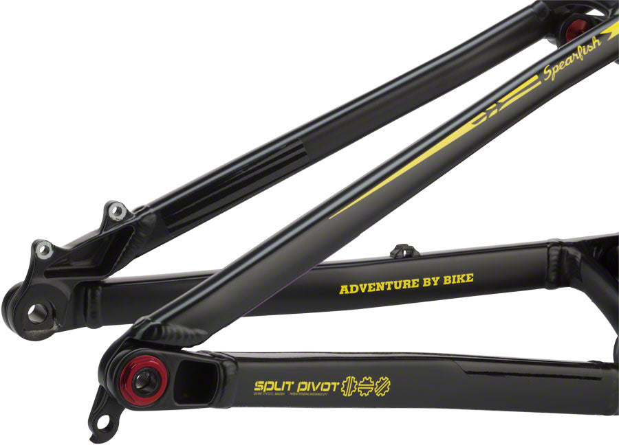 Salsa Spearfish