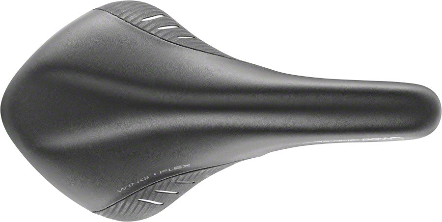 Fizik Donna