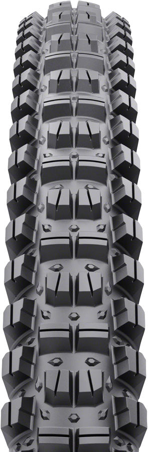 WTB Judge Tire