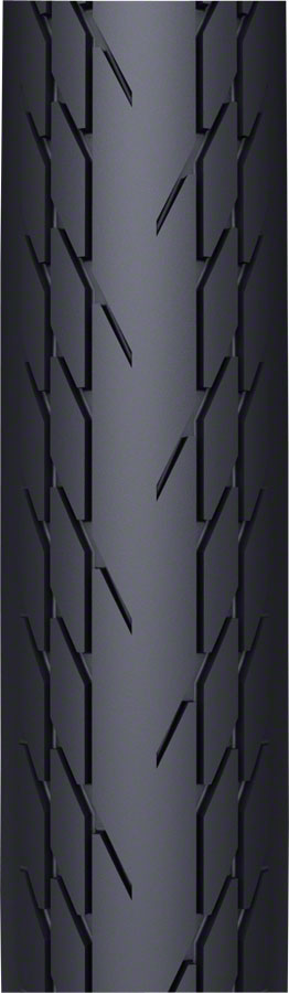 WTB Slick Tire