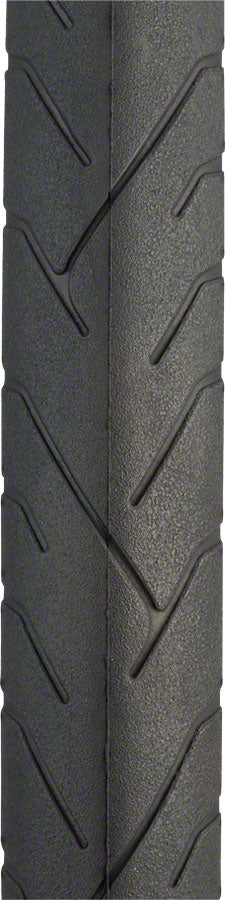 Panaracer RiBMo ProTite Tire