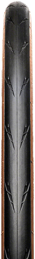 Hutchinson Fusion 5 Performance Tire