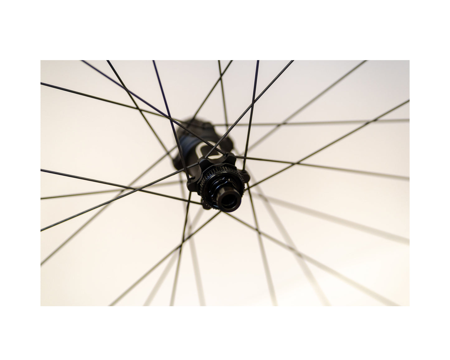 Quai R30 LTD ED. Disc Carbon Tubeless Wheelset 700c 12x100/142