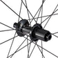 Specialized Roval Rapide CLX II - Satin Carbon/gloss Black 700c Rear