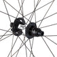 Specialized Roval Traverse SL II 350 6B - Satin Carbon/gloss Black 29 Rear 28H