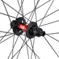 Specialized Roval Traverse HD 240 6B - Satin Carbon/gloss Black 29 Rear 28H