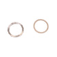 Campagnolo Disc Lockring Center Lock M1-101 BOX of 4