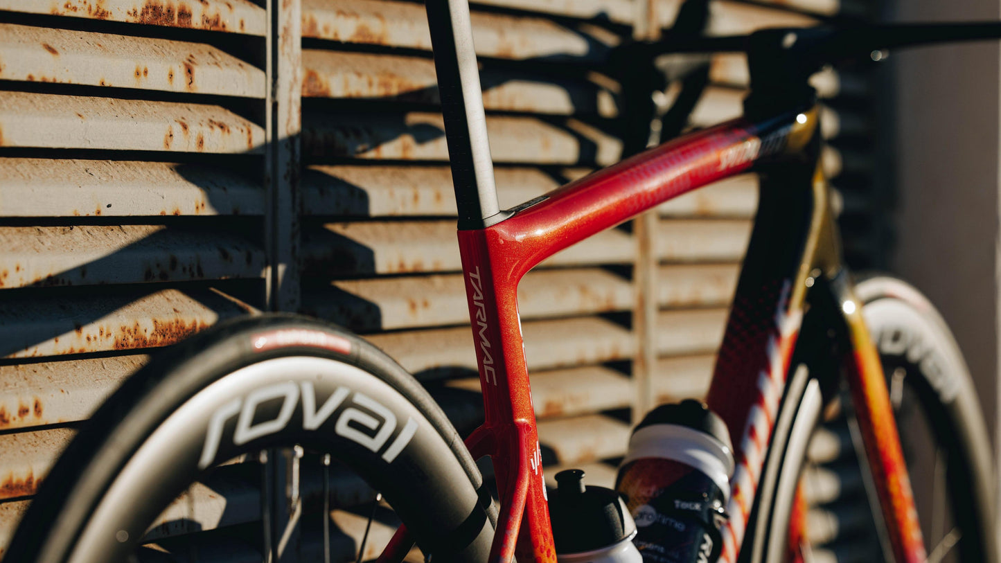 2025 Specialized S-Works Tarmac SL8 Team Frameset: SD Worx - Protime