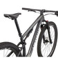 Specialized Epic Expert