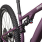 2025 Specialized Epic 8 EVO Expert