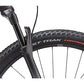 Specialized Epic Hardtail