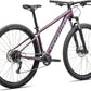 2025 Specialized Rockhopper