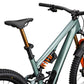 2025 Specialized Stumpjumper 15 FOX DHX Limited Edition