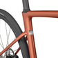 2025 Specialized Roubaix SL8 Expert