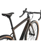 Specialized Diverge Comp Carbon