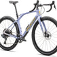 2024 Specialized Diverge STR Expert
