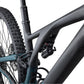 Specialized Stumpjumper Evo RS