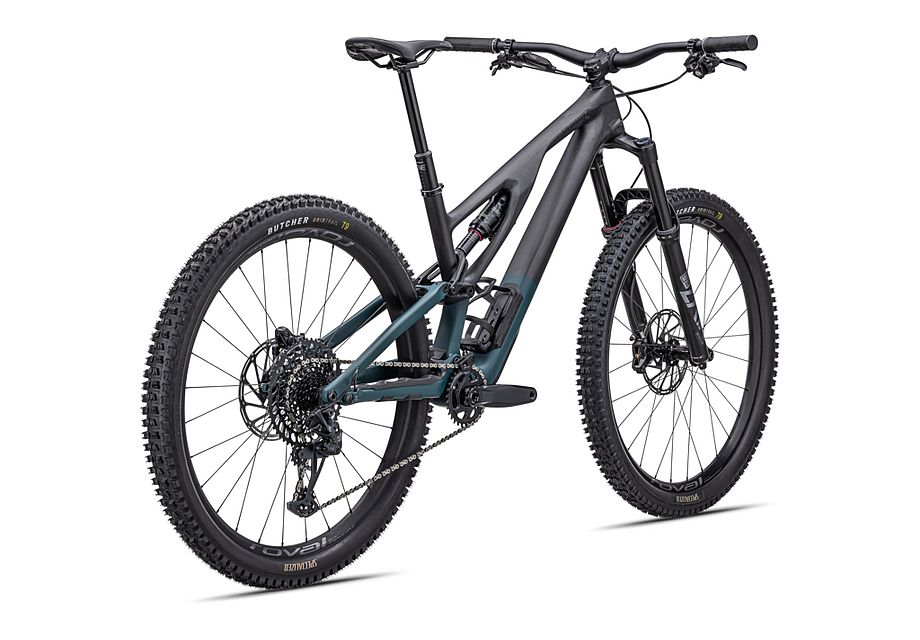 Specialized Stumpjumper Evo RS