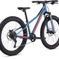 Specialized Riprock Expert 24