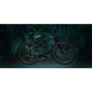 2020 Specialized Roll Elite Ltd Gloss Black / Chameleon Green